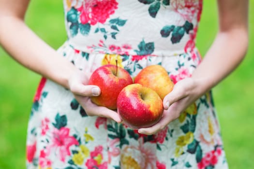 Closeup of female hands holding ripe red apples
