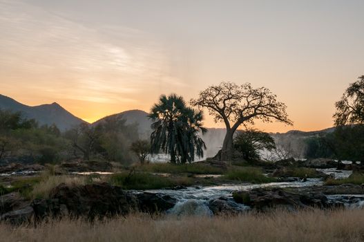 A baobab tree at sunrise on an island in the Kunene River at the top of the Epupa waterfalls