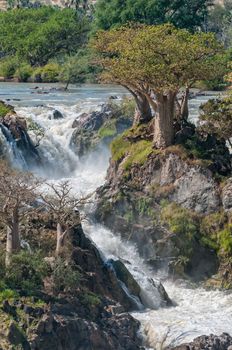 Part of the Epupa waterfalls in the Kunene River. Baobab trees are visible