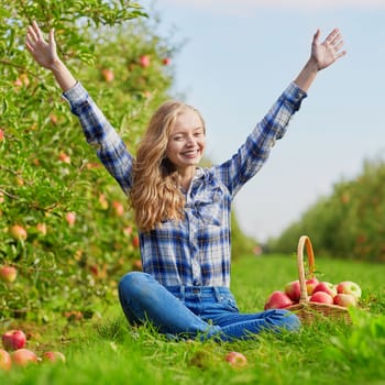 Beautiful young woman picking ripe organic apples in wooden crate in orchard or on farm on a fall day