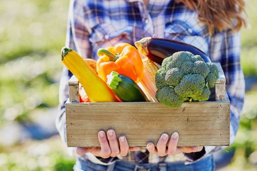 Woman's hands holding wooden crate with fresh organic vegetables from farm