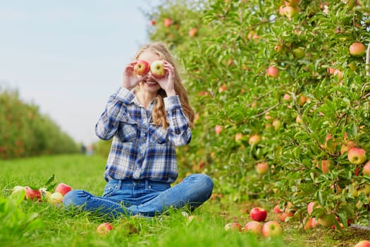 Beautiful young woman picking ripe organic apples in basket in orchard or on farm on a fall day