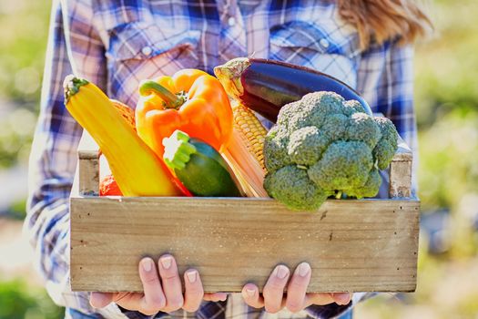 Woman holding crate with ripe vegetables on farm. Autumn, harvest and gardening concept