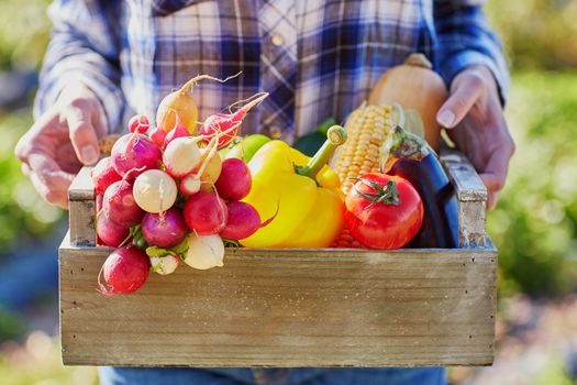 Woman holding wooden crate with fresh organic vegetables from farm