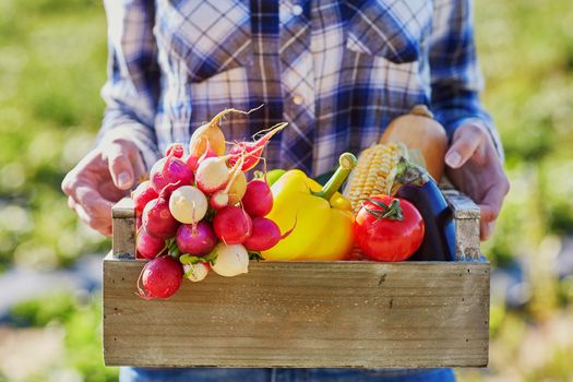 Woman holding wooden crate with fresh organic vegetables from farm