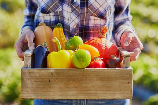 Woman's hands holding wooden crate with fresh organic vegetables from farm