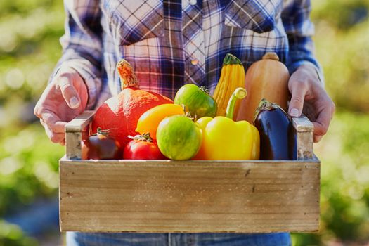 Woman's hands holding wooden crate with fresh organic vegetables from farm
