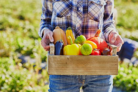 Woman's hands holding wooden crate with fresh organic vegetables from farm