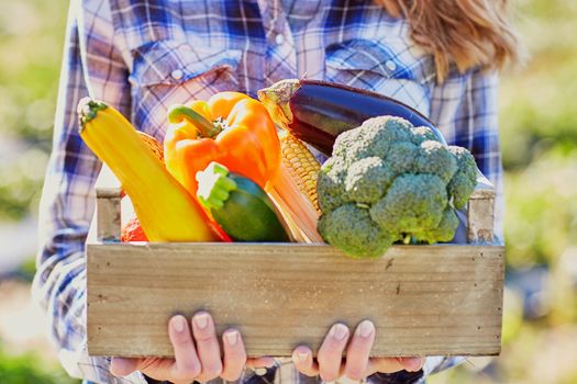 Woman holding wooden crate with fresh organic vegetables from farm