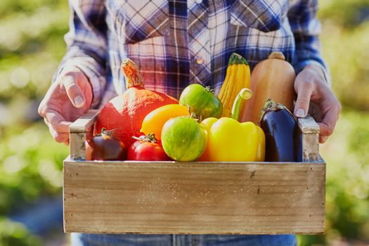 Woman's hands holding wooden crate with fresh organic vegetables from farm