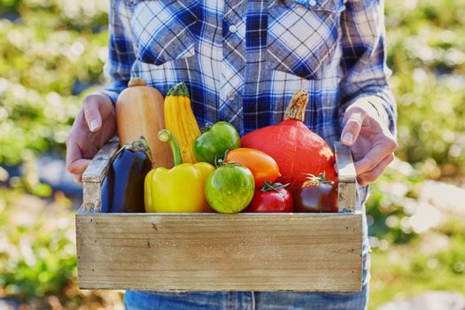 Woman's hands holding wooden crate with fresh organic vegetables from farm
