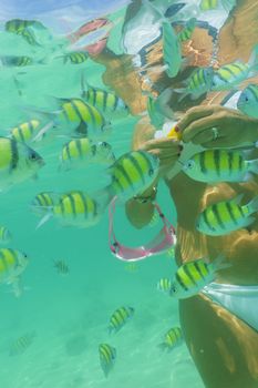 Woman swimming underwater  in the Andaman sea