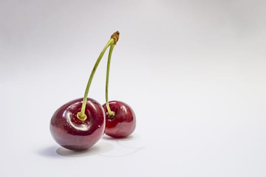 red cherries on a white background