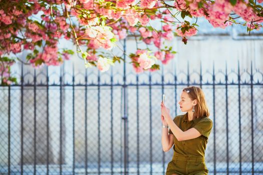 Beautiful French woman walking in Paris on a spring day at cherry blossom season