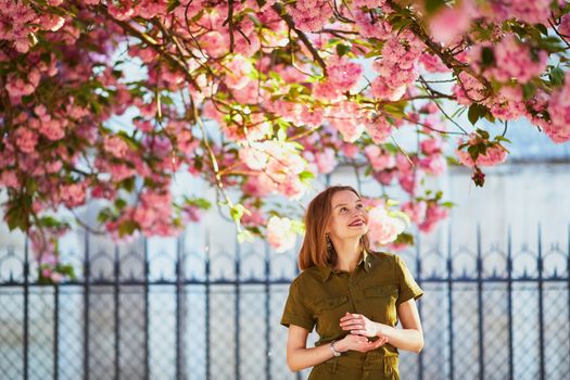Beautiful French woman walking in Paris on a spring day at cherry blossom season
