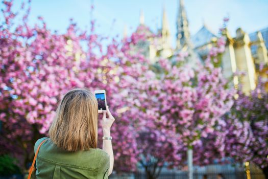 Tourist taking photo of cherry blossom near Notre-Dame Cathedral in Paris on a spring day