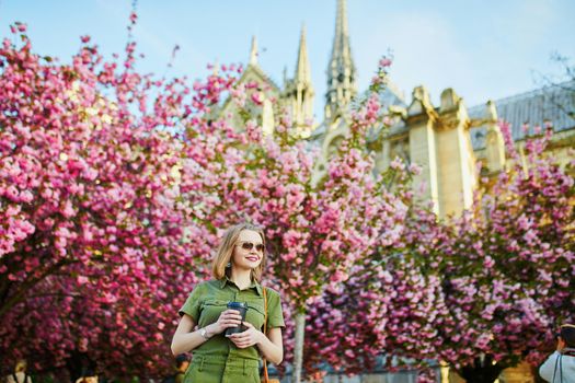 Beautiful French woman walking in Paris on a spring day at cherry blossom season