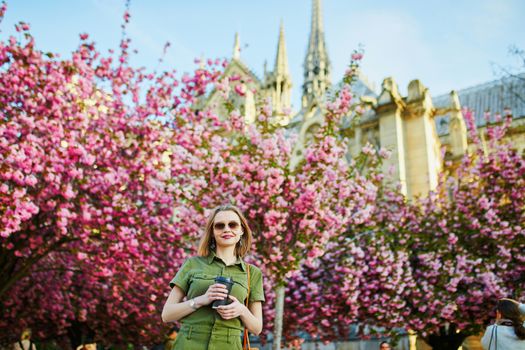 Beautiful French woman walking in Paris on a spring day at cherry blossom season