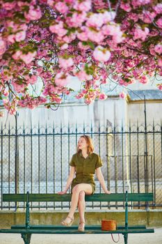 Beautiful French woman walking in Paris on a spring day at cherry blossom season