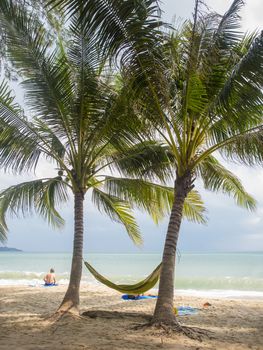 tropical beach with coconut palm. Koh Samui, Thailand Lamai Beach