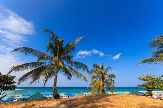 Exotic beach in Phuket island Thailand