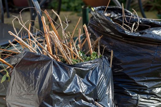 Black bags of garden waste in a residential setting