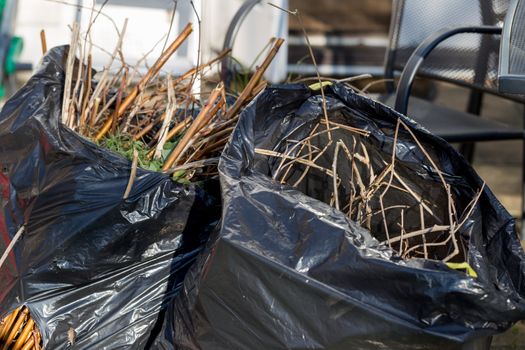 Black bags of garden waste in a residential setting