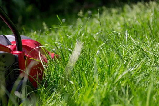 A close up image of a lawnmower on a lawn of long grass in need of cutting