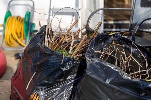 Black bags of garden waste in a residential setting