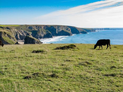 Bedruthan Steps, Cornwall, England