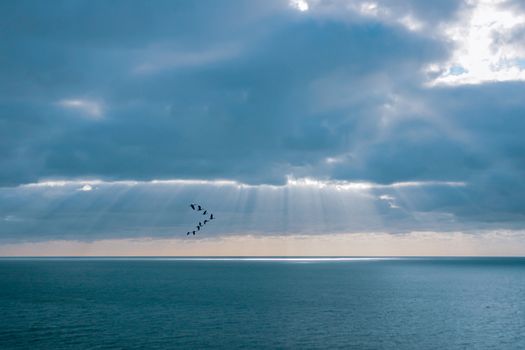 A beam of light through the clouds, spotlighting a flock of birds.  Provides imagery of hope, faith, religion