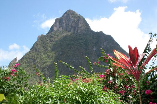 The Pitons, St Lucia