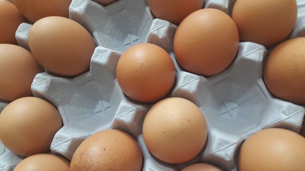 Free space in an egg-carton or egg holder or paper tray placed in market for sale of Fresh farm chicken eggs