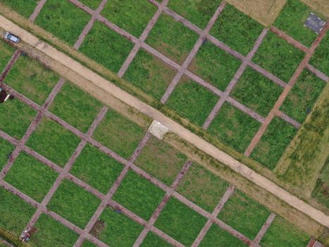 drone view looking down from above onto the grid pattern of some new allotments