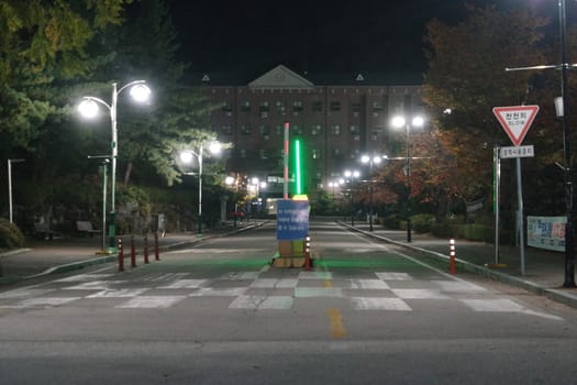 Night view of a paved pedestrian way or walk way with trees on sides for public walk