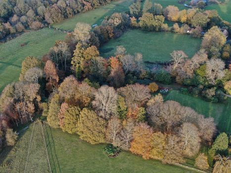 an aerial view showing rolling countryside in Dorset looking down on green fields and forest and woodland