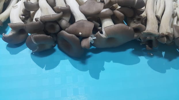 Closeup view of big pile of fresh harvested mushrooms. Food background of mushrooms in market for sale. A Vegetables background