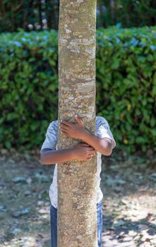 Boy hugging a tree from behind