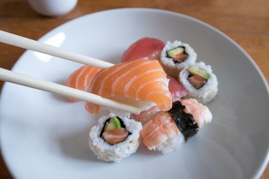 Fresh salmon nigiri sushi between chopsticks with uramaki, prawn nigiri and tuna nigiri in the background