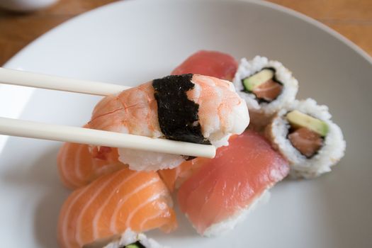 Fresh prawn nigiri sushi between chopsticks with salmon nigiri, salmon and avocado uramaki and tuna nigiri in the background