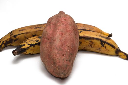 Two plantains, musa x paradisiaca, and a sweet potato, Ipomoea batatas, on a white background