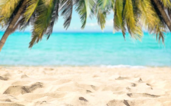 Beach coconut tree and sea clear water of holiday relax summer