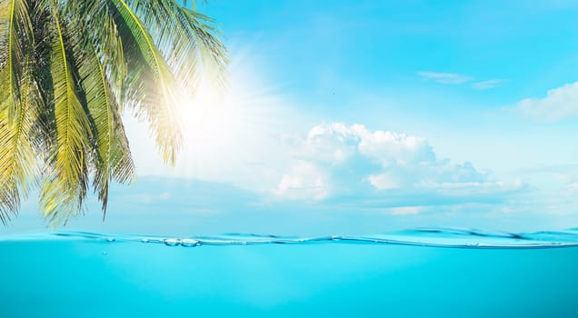 Sea the beach clear water and sky coconut trees with relaxation