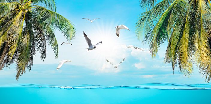Bird Sea the beach clear water and sky coconut trees with relaxation