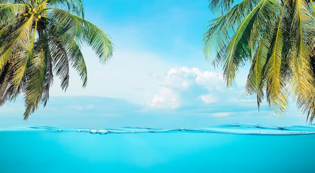 Sea the beach clear water and sky coconut trees with relaxation