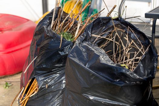 Domestic garden waste in black plastic bags