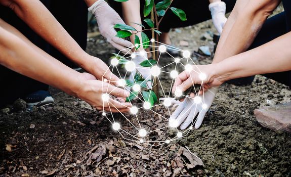 People planting trees To protect the environment The concept of the world