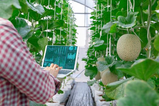 Advanced farmers quality inspection agricultural product with computer technology