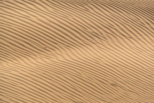 Beautiful sand dune in Thar desert, Jaisalmer, Rajasthan, India.