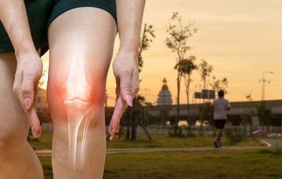 Human leg Osteoarthritis inflammation Of bone joints